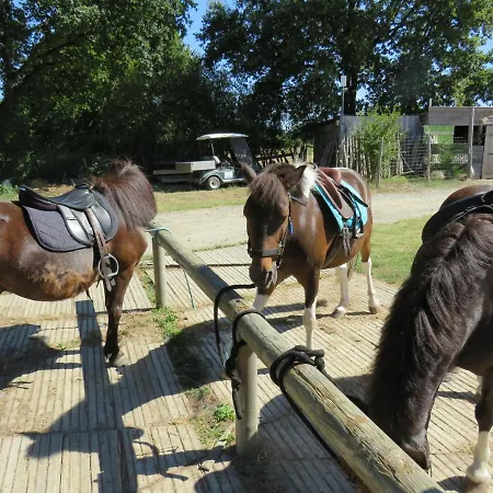 Campsite Les P'tites Maisons Dans La Prairie