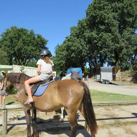 Les P'tites Maisons Dans La Prairie Campsite Sallertaine