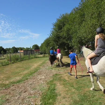 Les P'tites Maisons Dans La Prairie Campsite Sallertaine