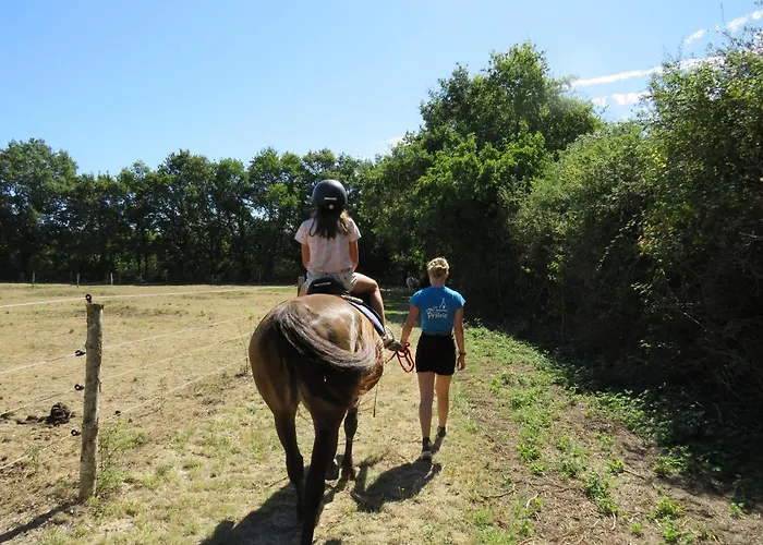 Camping Les P'tites Maisons Dans La Prairie