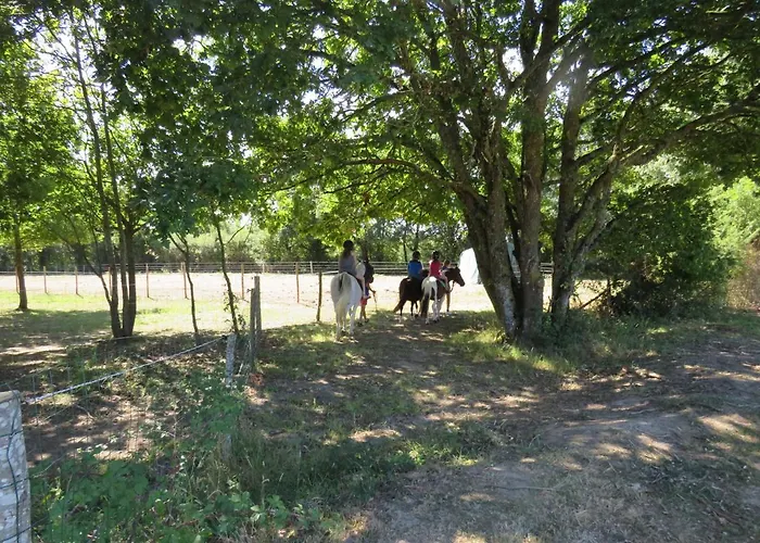 Camping Les P'tites Maisons Dans La Prairie