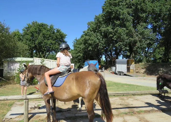 Les P'tites Maisons Dans La Prairie Camping Sallertaine
