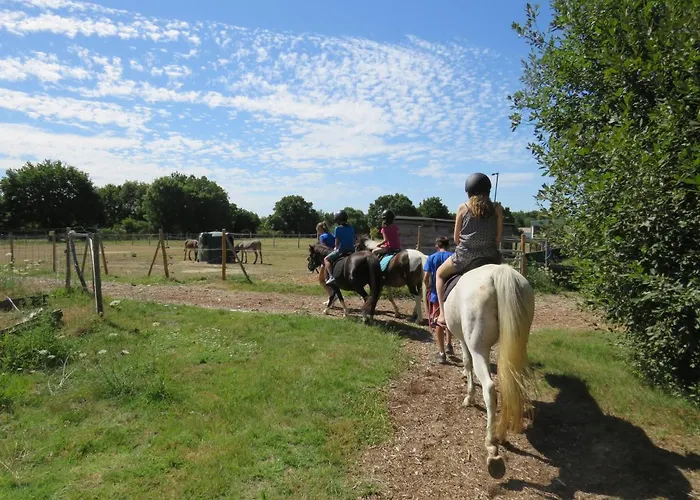 Les P'tites Maisons Dans La Prairie