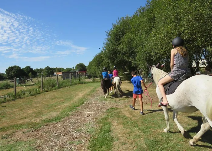 Les P'tites Maisons Dans La Prairie Camping Sallertaine